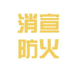 武漢市消宣防火技術(shù)咨詢中心工作環(huán)境與體驗(yàn)綜述