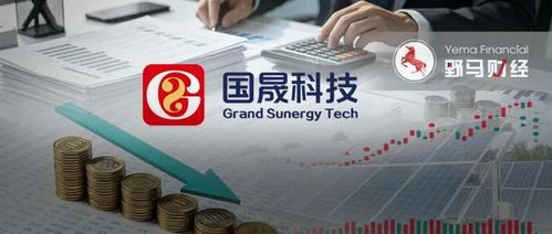 2天蒸發(fā)40億，國(guó)晟科技妖股神話破滅 鋰電故事不再講得通